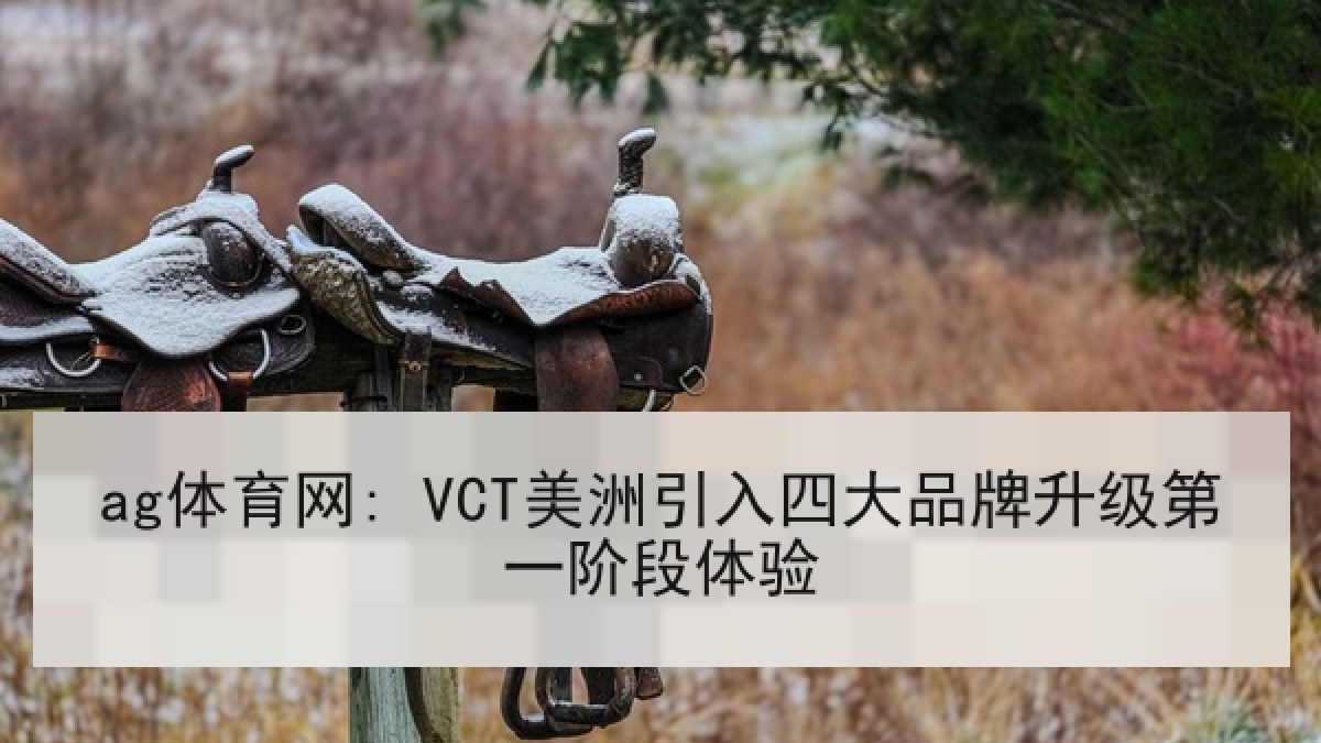 ag体育网: VCT美洲引入四大品牌升级第一阶段体验