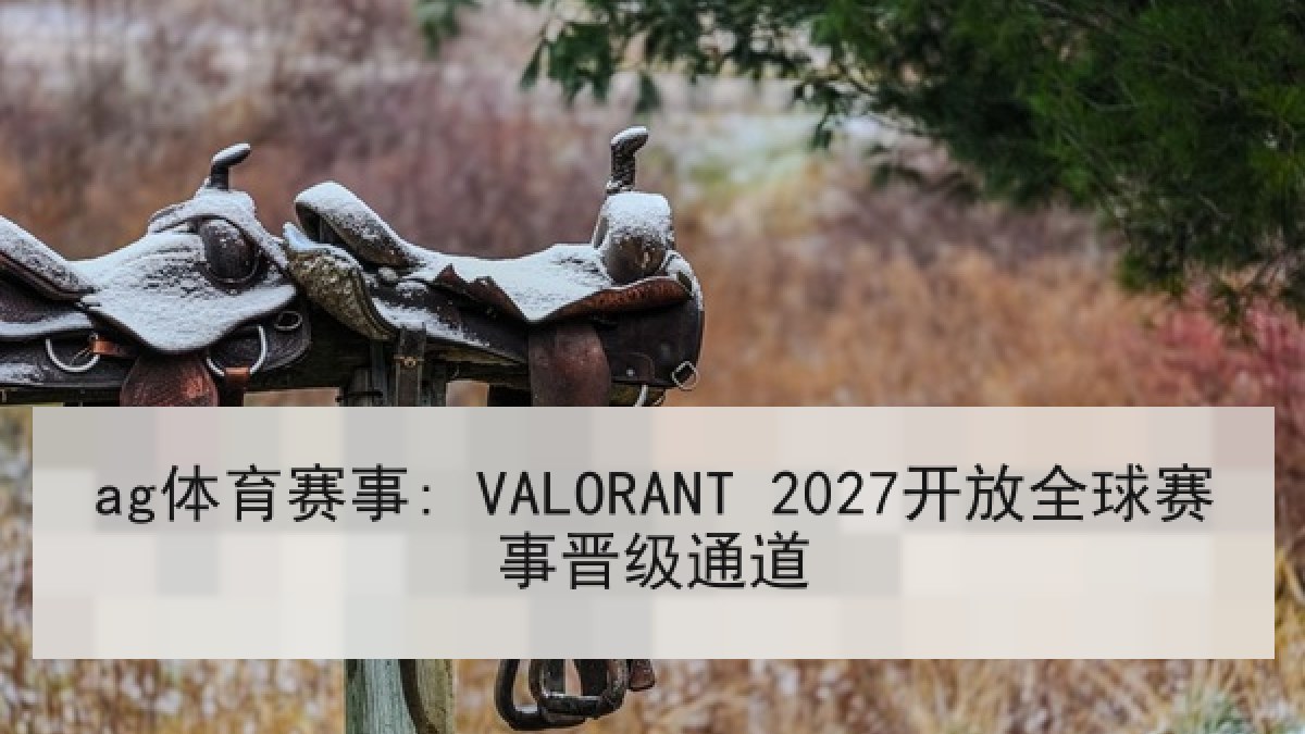 ag体育赛事: VALORANT 2027开放全球赛事晋级通道