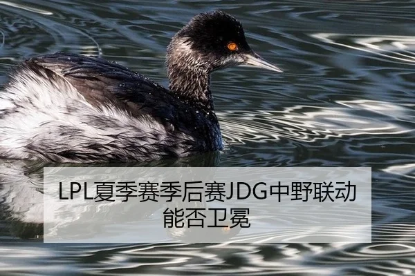 LPL夏季赛季后赛JDG中野联动能否卫冕