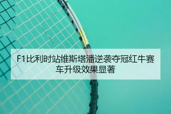bi-li-shi-zhan-wei-si-ta-pan-ni-xi-duo-guan-hong-niu-sai-che-sheng-ji-xiao-guo-xian-zhu-3-301.jpg