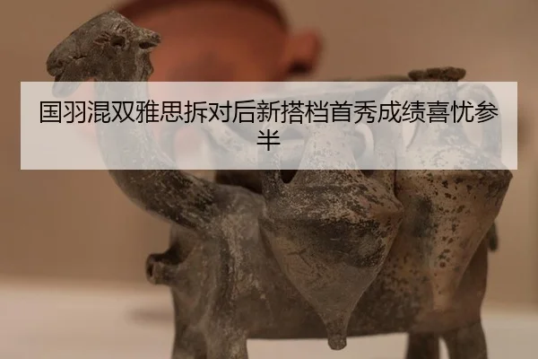 guo-yu-hun-shuang-ya-si-chai-dui-hou-xin-da-dang-shou-xiu-cheng-ji-xi-you-can-ban-2-586.jpg