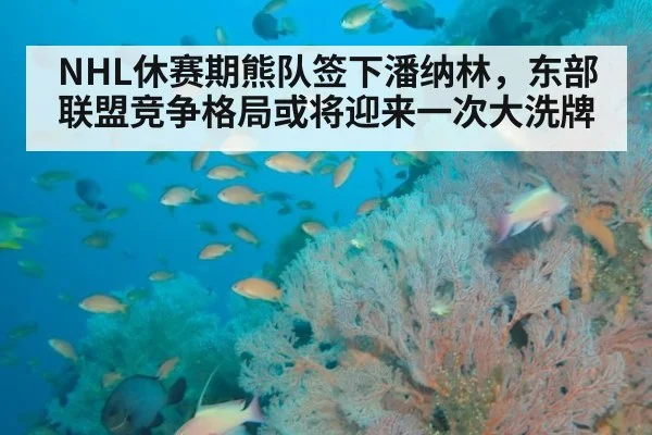NHL休赛期熊队签下潘纳林，东部联盟竞争格局或将迎来一次大洗牌